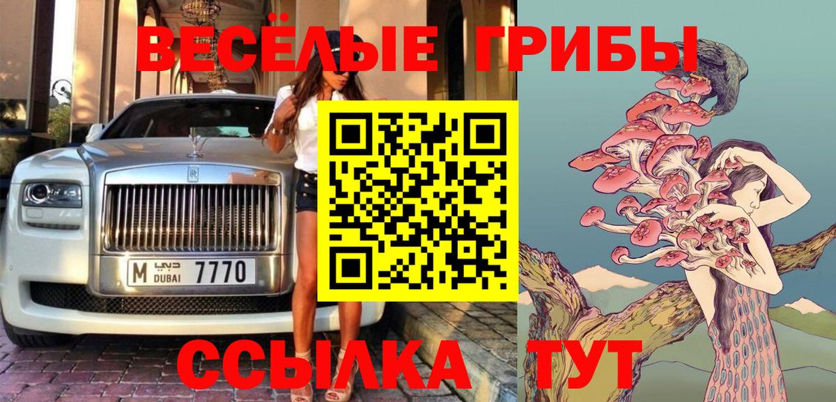 Псилоцибиновые грибы Cubensis Мурино